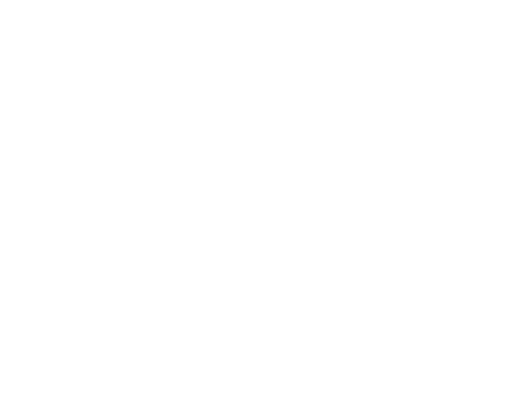 Camship Logo